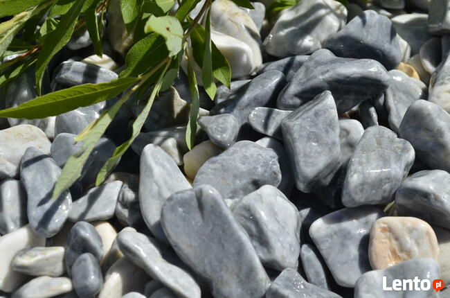 OTOCZAK BIAŁO-NIEBIESKI POLSKI NATURALNY 3-6CM