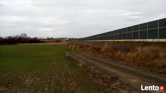 Sprzedam działke w miejscowości Głoska