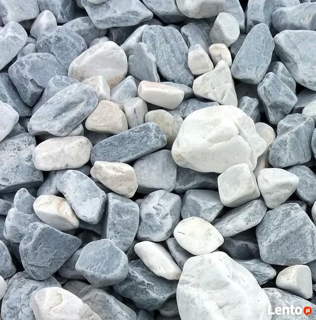 OTOCZAK BIAŁO-NIEBIESKI POLSKI NATURALNY 3-6CM