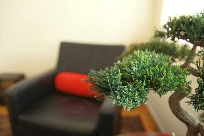 Gabinety i sale dla psychologów, psychoterapeutów, coachów.