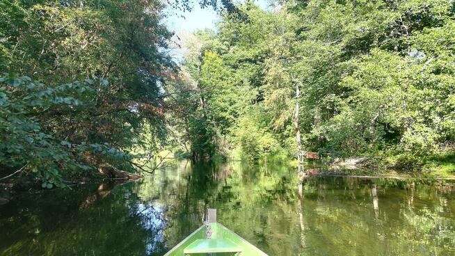 Kajaki Krutynia Spływ kajakowy