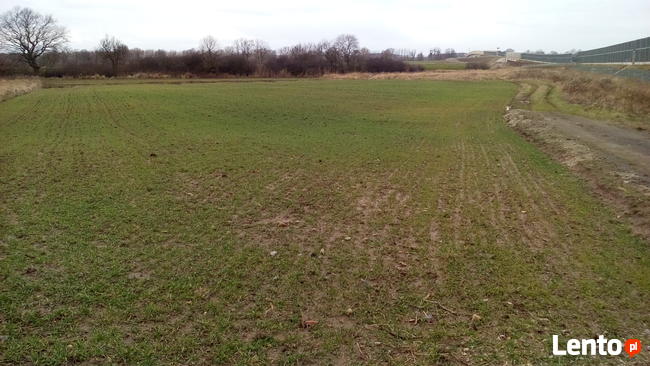 Sprzedam działke w miejscowości Głoska