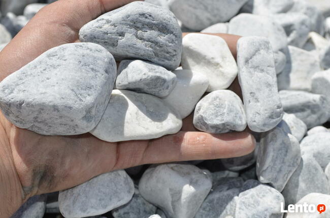 OTOCZAK BIAŁO-NIEBIESKI POLSKI NATURALNY 3-6CM