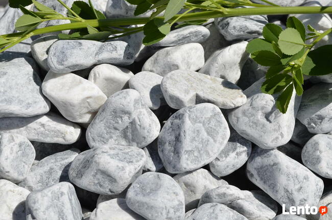 OTOCZAK BIAŁO-NIEBIESKI POLSKI NATURALNY 3-6CM