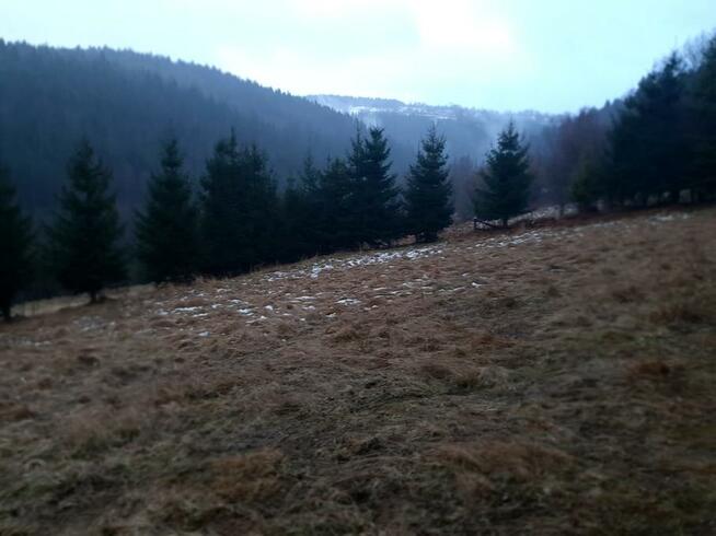 Diałka budowlana w górach w Sucha Beskidzka