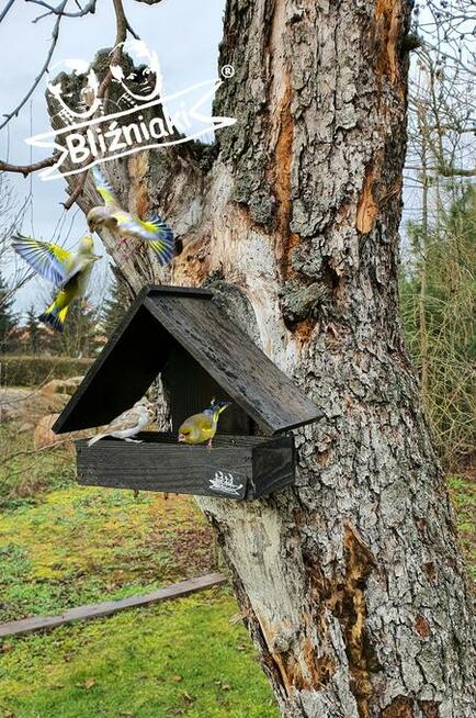 MAŁY KARMNIK dla ptaków na parapet lub na ścianę drewniany