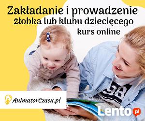 Zakładanie i prowadzenie żłobka lub klubu dziecięcego