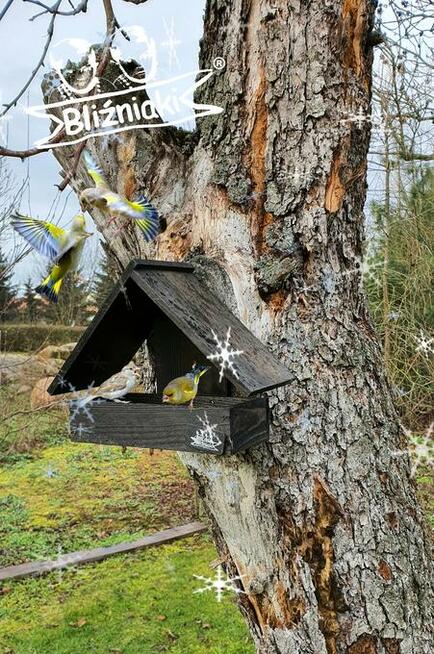 MAŁY KARMNIK dla ptaków na parapet lub na ścianę drewniany