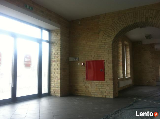 Lokal 100m - 800m do wynajęcia
