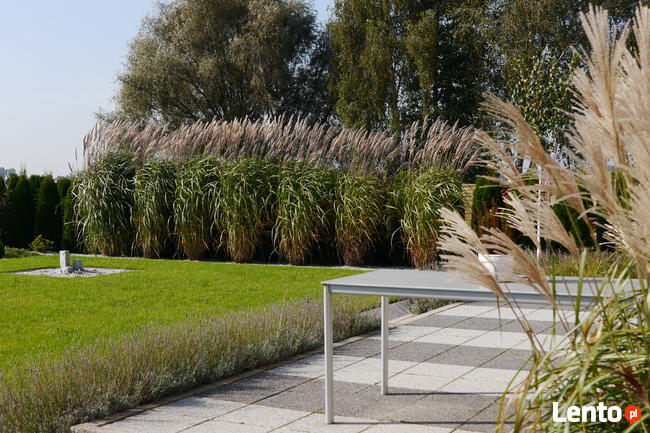 Ogrody Projektowanie Zakładanie Pielęgnacja Architekt Kraj.