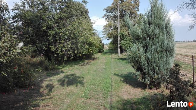 Nieruchomość mieszkalna z zabudowaniami