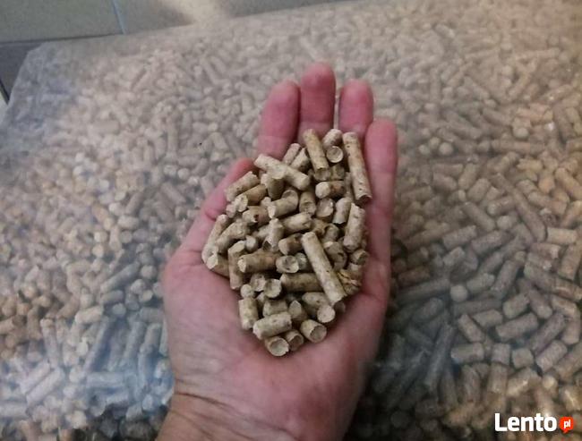 Pellet Sosnowy, Liściasto-iglasty Smyków, Olczyk GOLD WIREX