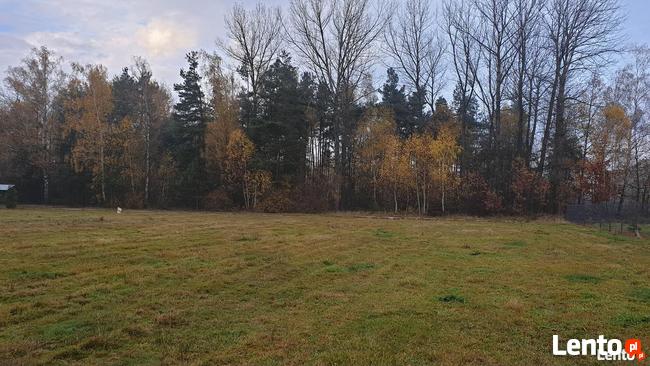 Sprzedam działkę budowlaną, Nowy Węgrzynów , 8,7 ar