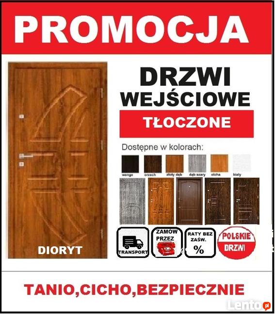 DRZWI WEJŚCIOWE DO DOMÓW, MIESZKAN-SKARZYSKO