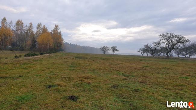 Sprzedam działkę budowlaną, Nowy Węgrzynów , 8,7 ar