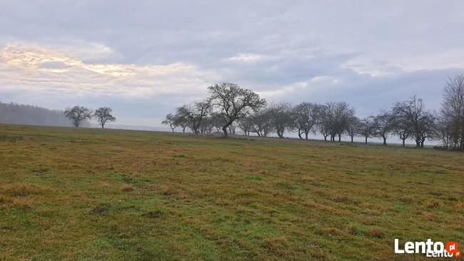 Sprzedam działkę budowlaną, Nowy Węgrzynów , 8,7 ar