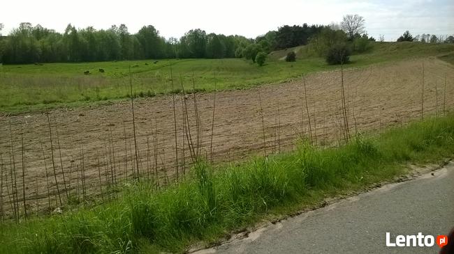 Działka nad jeziorem powidzkim