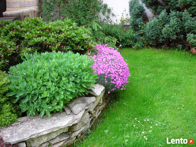 Ogrody - zakładanie, pielęgnacja. Wycinka drzew, zarośli.