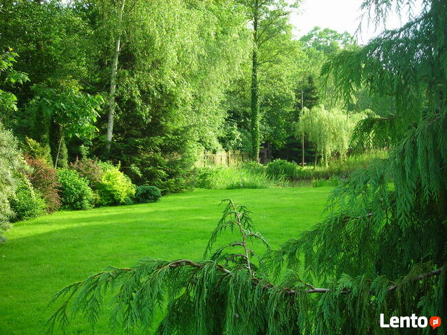 Ogrody - zakładanie, pielęgnacja. Wycinka drzew, zarośli itp