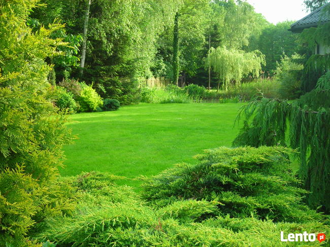 Ogrody - zakładanie, pielęgnacja. Wycinka drzew, zarośli.