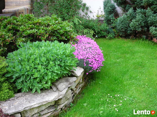 Ogrody - zakładanie, pielęgnacja. Wycinka drzew, zarośli itp