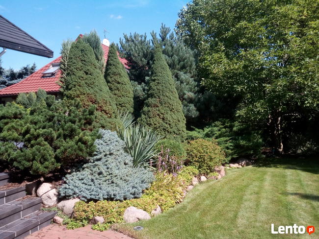 Ogrody - zakładanie, pielęgnacja. Wycinka drzew, zarośli itp