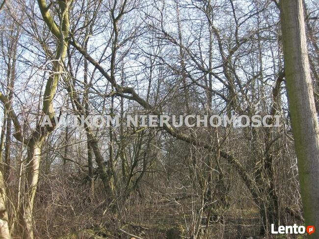 Działka budowlana Milanówek Milanówek