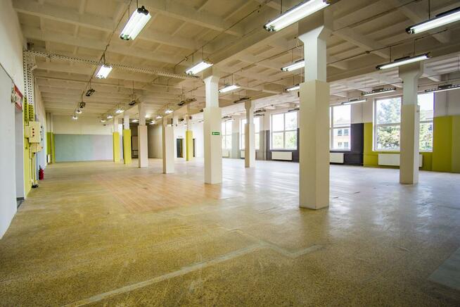 Lokal użytkowy Skoczów