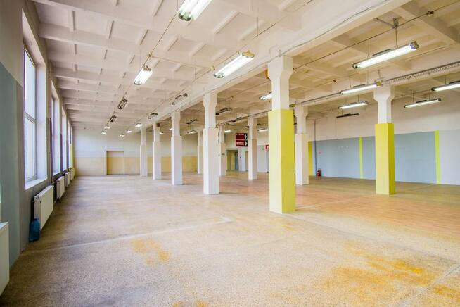 Lokal użytkowy Skoczów