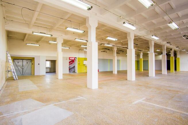 Lokal użytkowy Skoczów