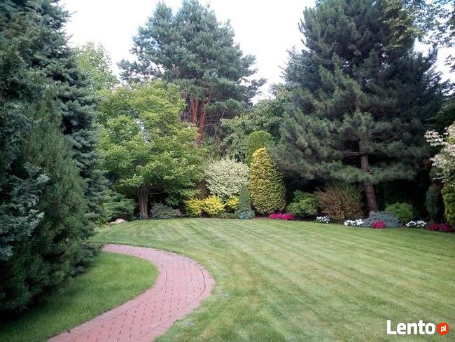 Ogrody - zakładanie, pielęgnacja. Wycinka drzew, zarośli.