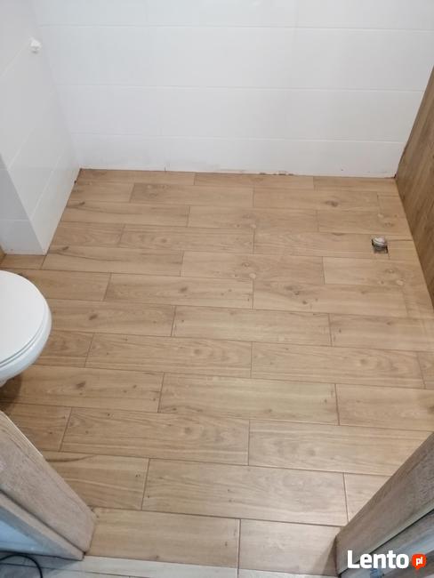 Glazurnik wolny termin