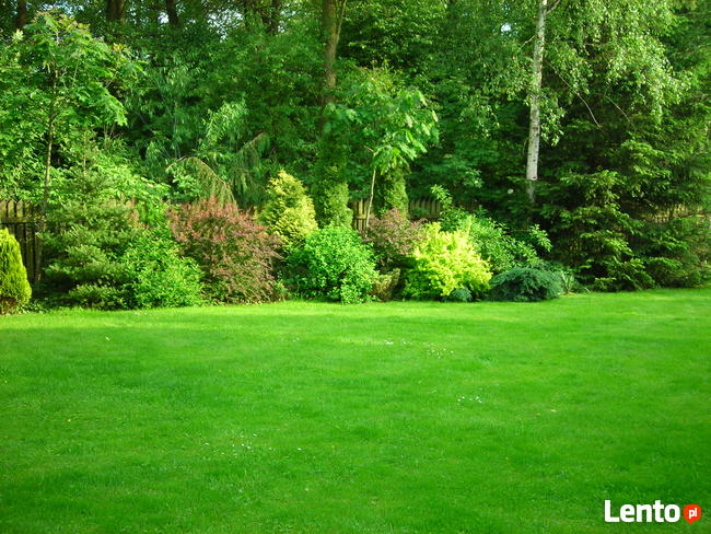 Ogrody - zakładanie, pielęgnacja. Wycinka drzew, zarośli.