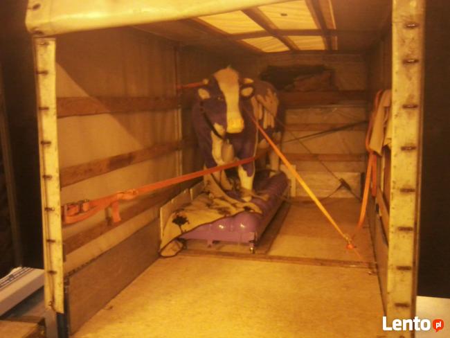 TRANSPORT-PRZEPROWADZKI=CAŁA POLSKA I ZAGRANICA-:510-869-107