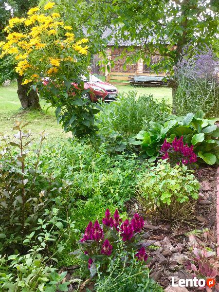 nocleg w drewnianym domku na Roztoczu