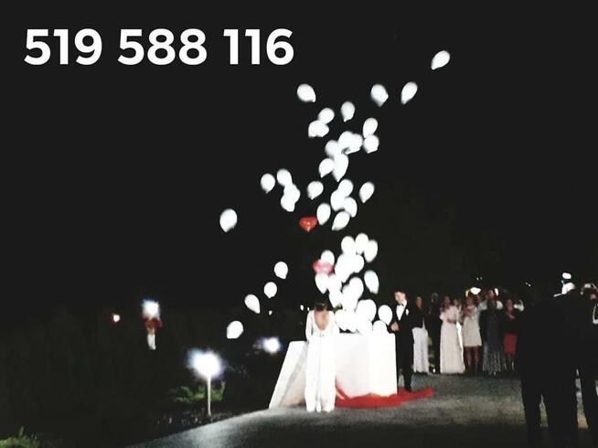 Łódż bramy balonowe łodz brama balonowa łódz brama z balonów