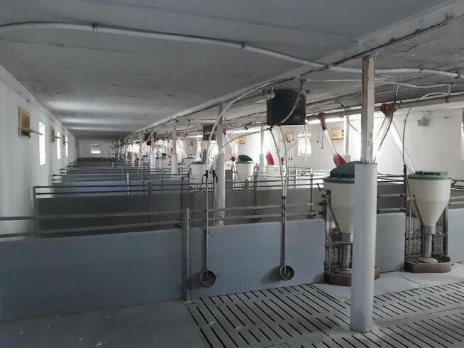 Bielenie Budynków Gospodarczych Rypin