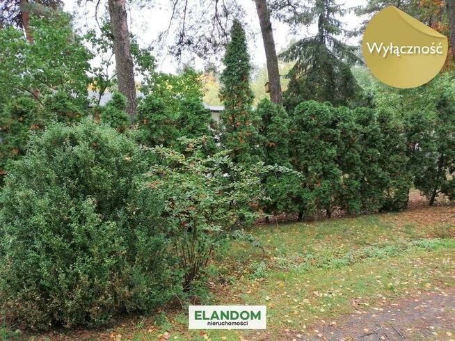 Nietypowa, ale ciekawa