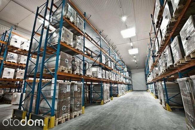 Hala/Magazyn, 2 300 m², Bronisze