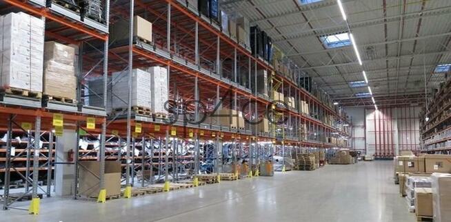 Hala/Magazyn, 2 300 m², Bronisze