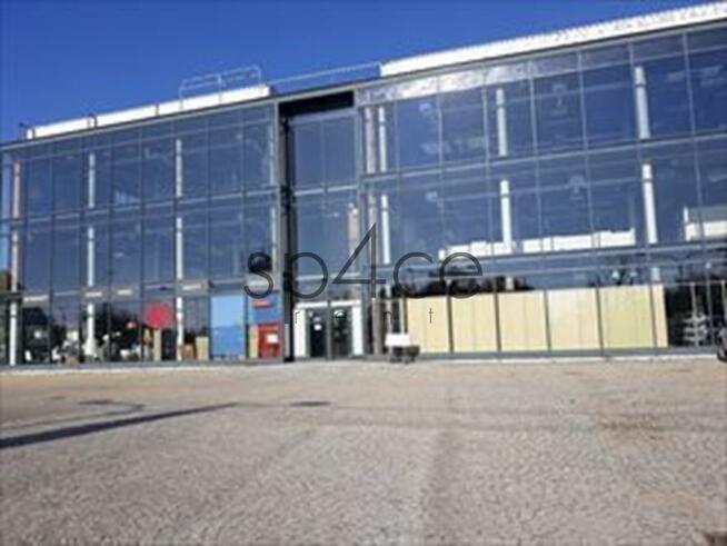 Hala/Magazyn, 2 300 m², Bronisze