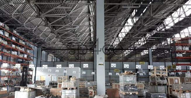 Hala/Magazyn, 1 125 m², Katowice