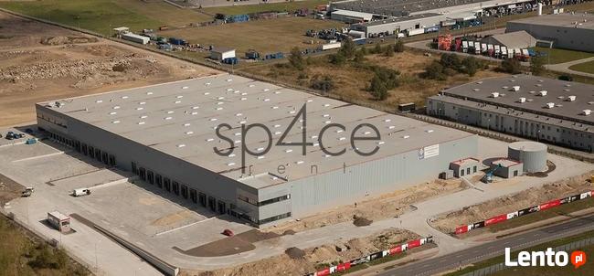 Hala/Magazyn, 10 000 m², Zgierz