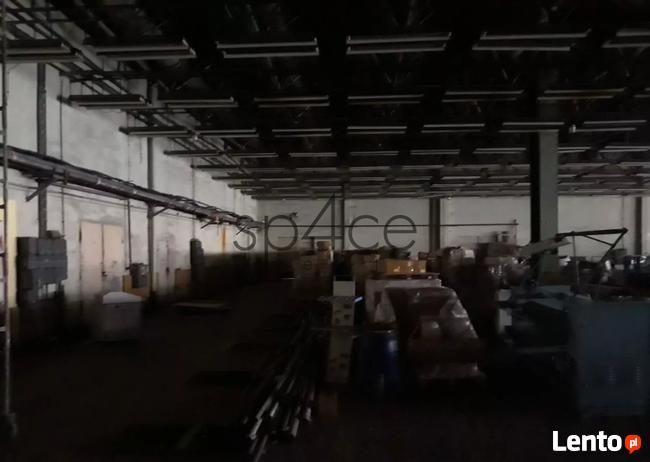 Hala/Magazyn, 10 000 m², Zgierz