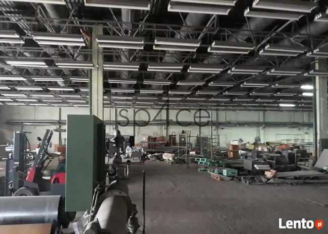 Hala/Magazyn, 10 000 m², Zgierz