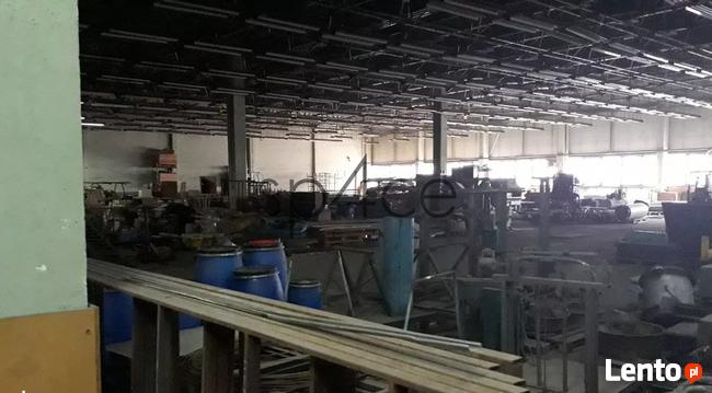 Hala/Magazyn, 10 000 m², Zgierz