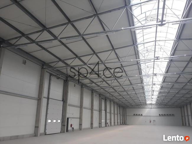 Hala/Magazyn, 4 800 m², Lućmierz Las