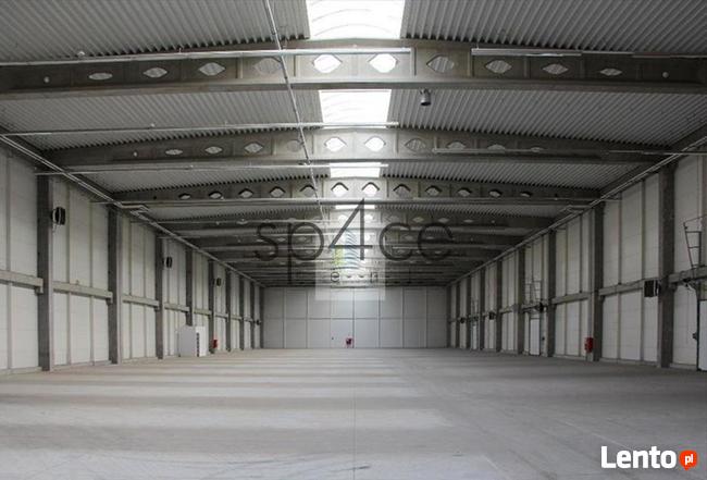 Hala/Magazyn, 4 800 m², Lućmierz Las