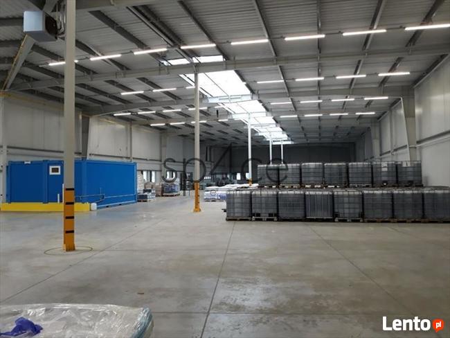 Hala/Magazyn, 6 000 m², Białystok