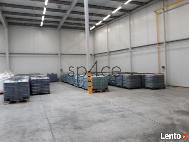 Hala/Magazyn, 5 670 m², Toruń